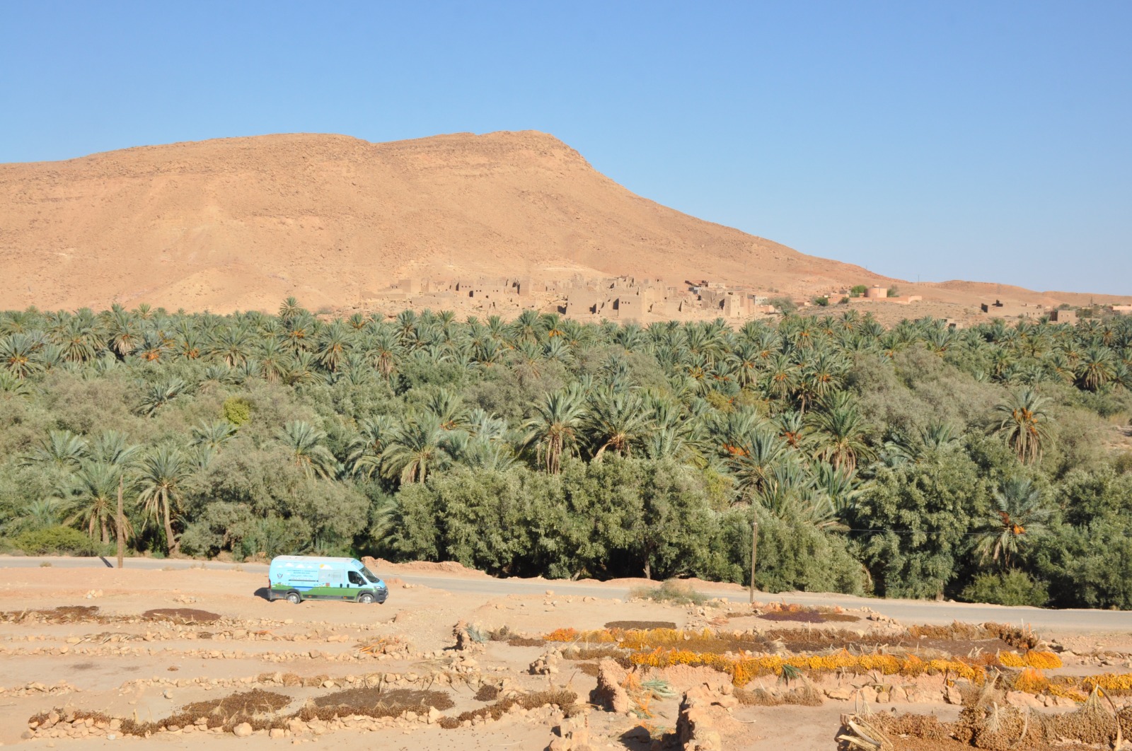 oasi di Ferkla, Marocco