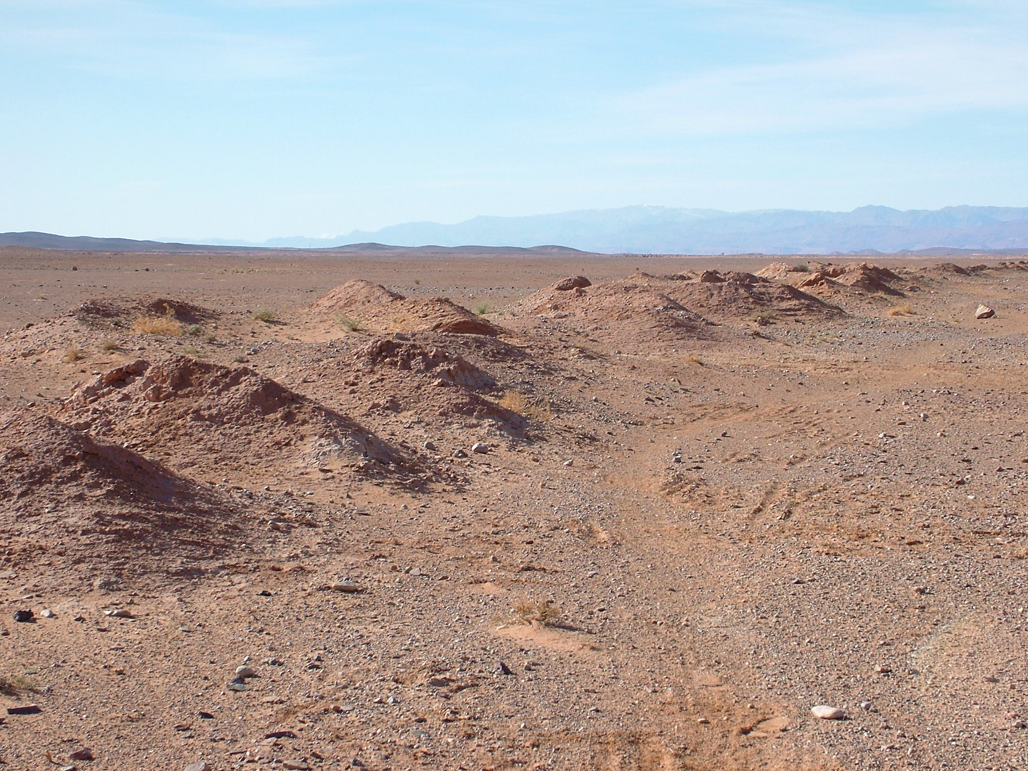 oasi di Ferkla, Marocco