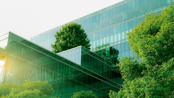 palazzo vetrato e alberi verdi