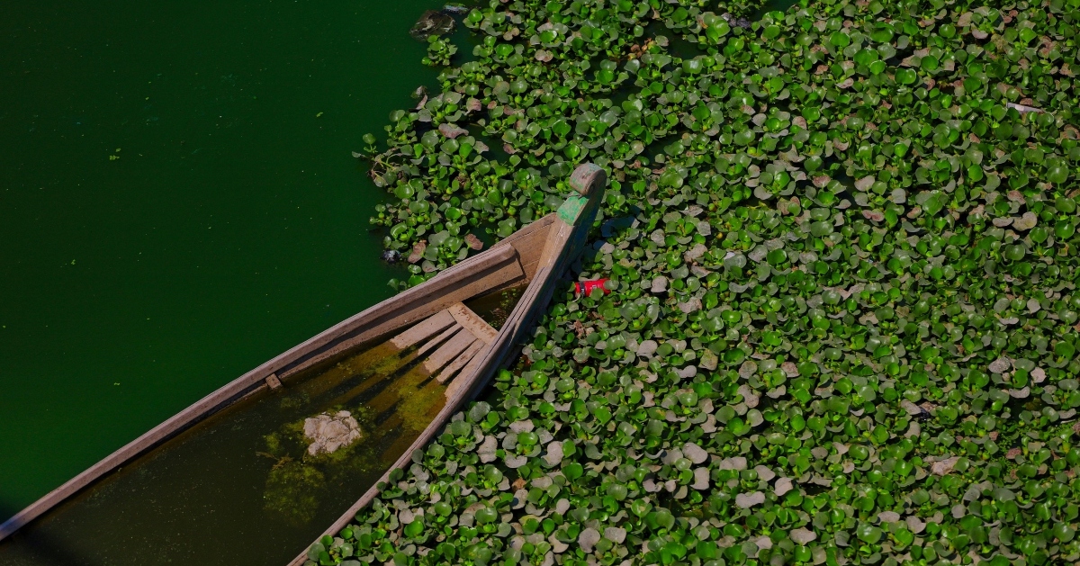 laguna
