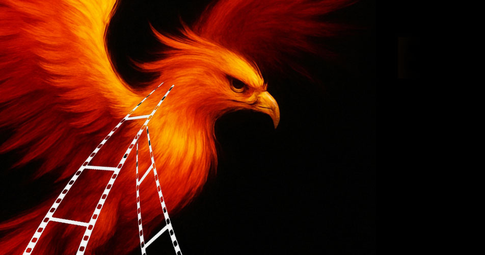 fenice
