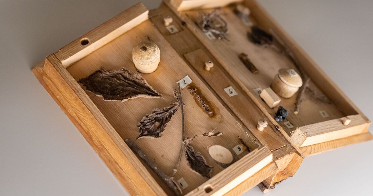 foto contenuto libro di legno