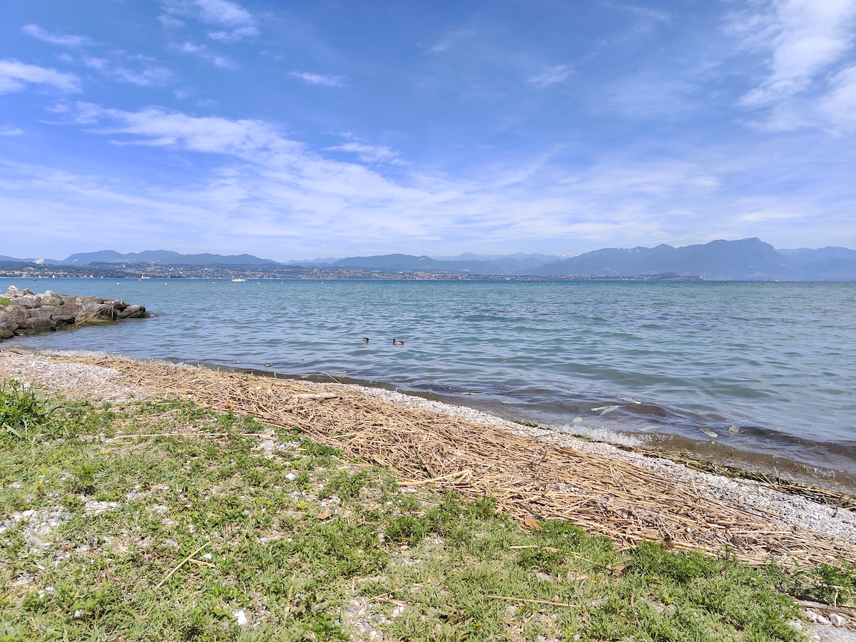 Rive del lago. Foto di Benedetta Pagni