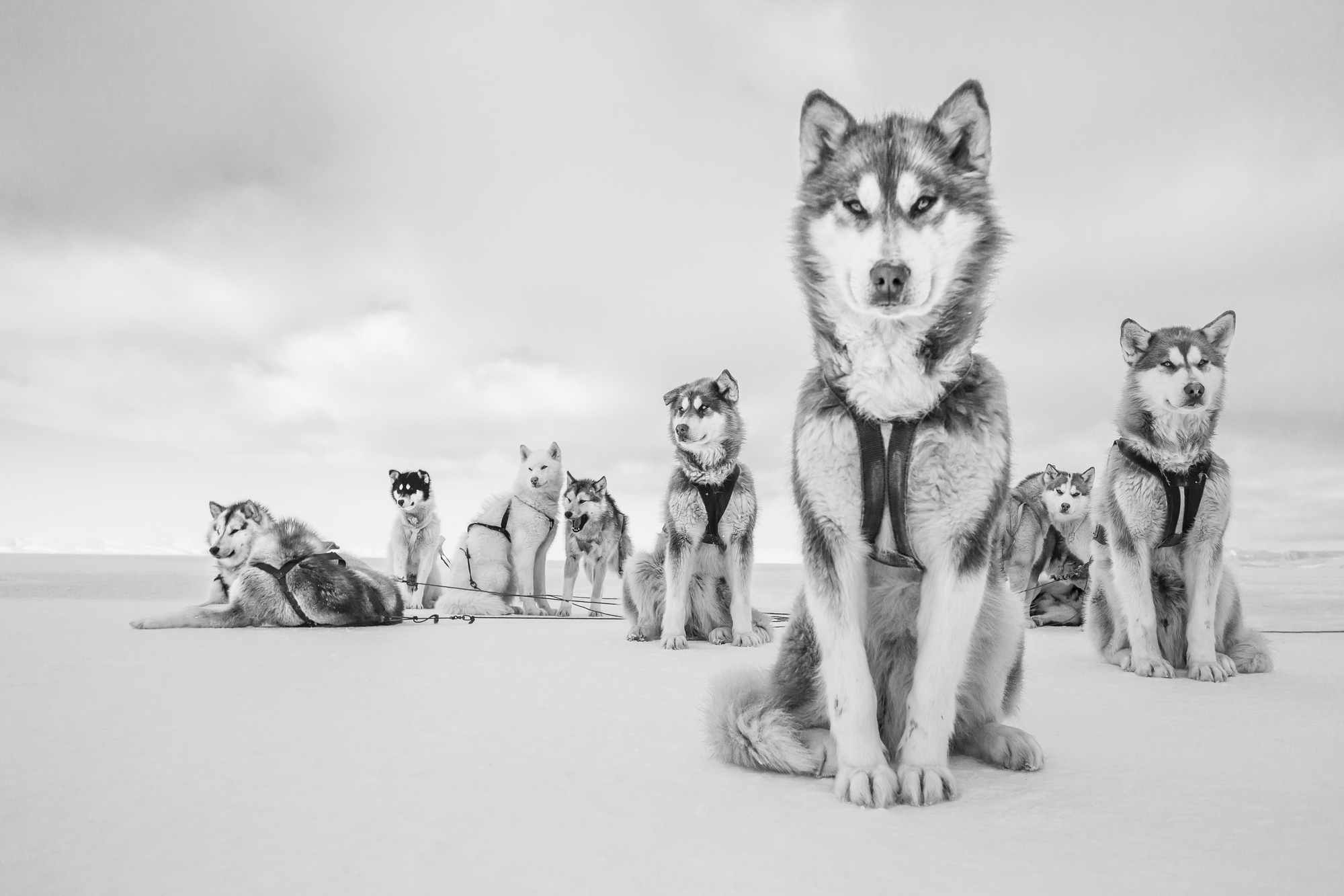 Qaanaaq, Groenlandia 2015 ©Cristina Mittermeier