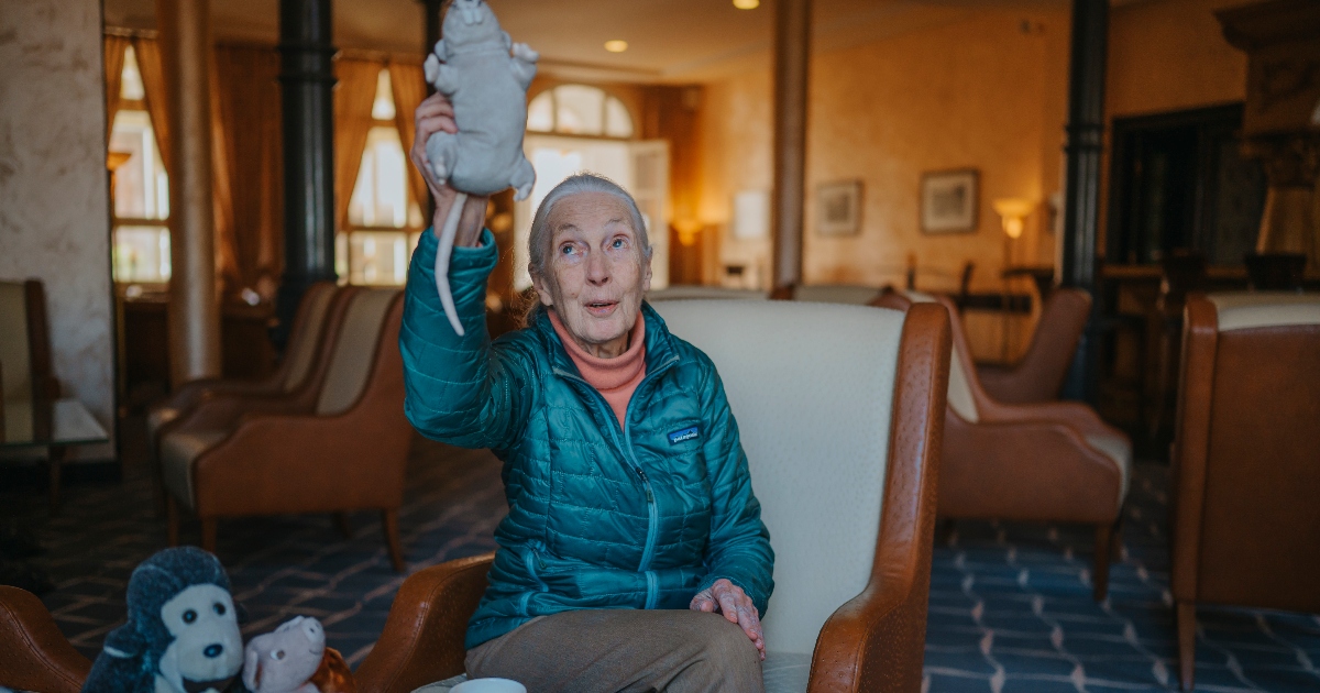 Jane Goodall
