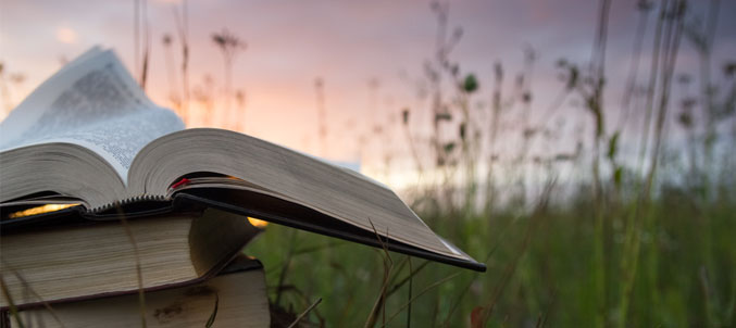 libro aperto su prato verde al tramonto