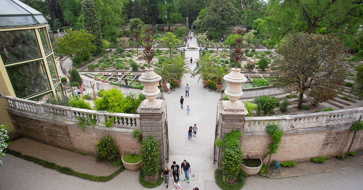 foto dell'orto botanico di pd