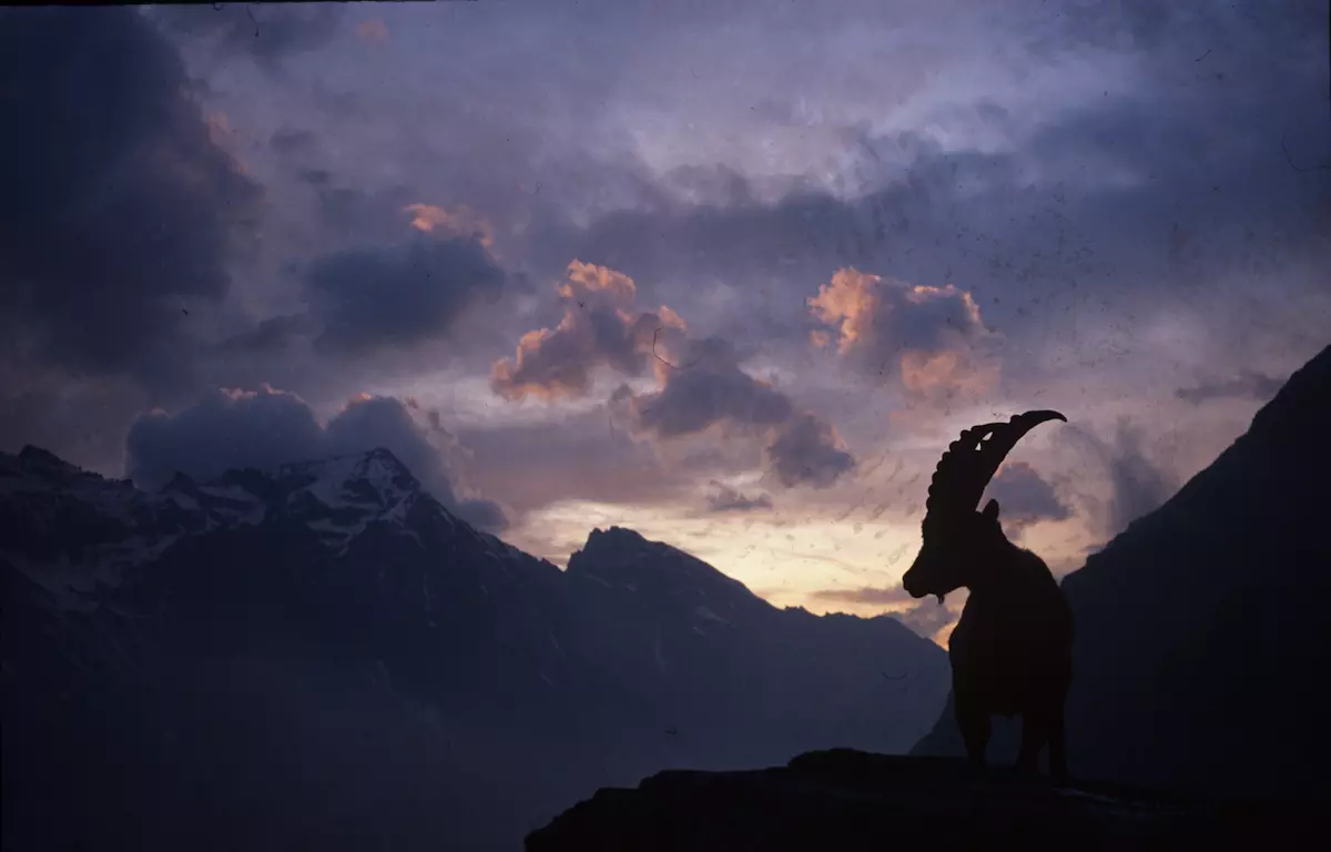 Parco Gran Paradiso Parco Gran Paradiso