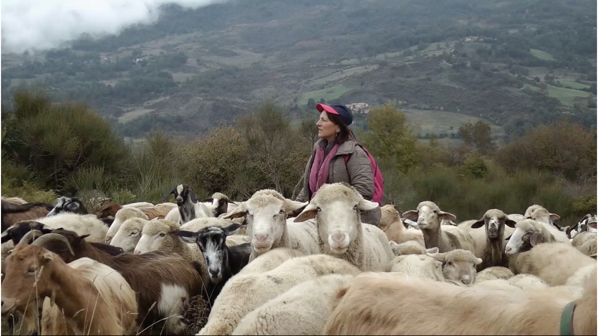 pastora con pecore