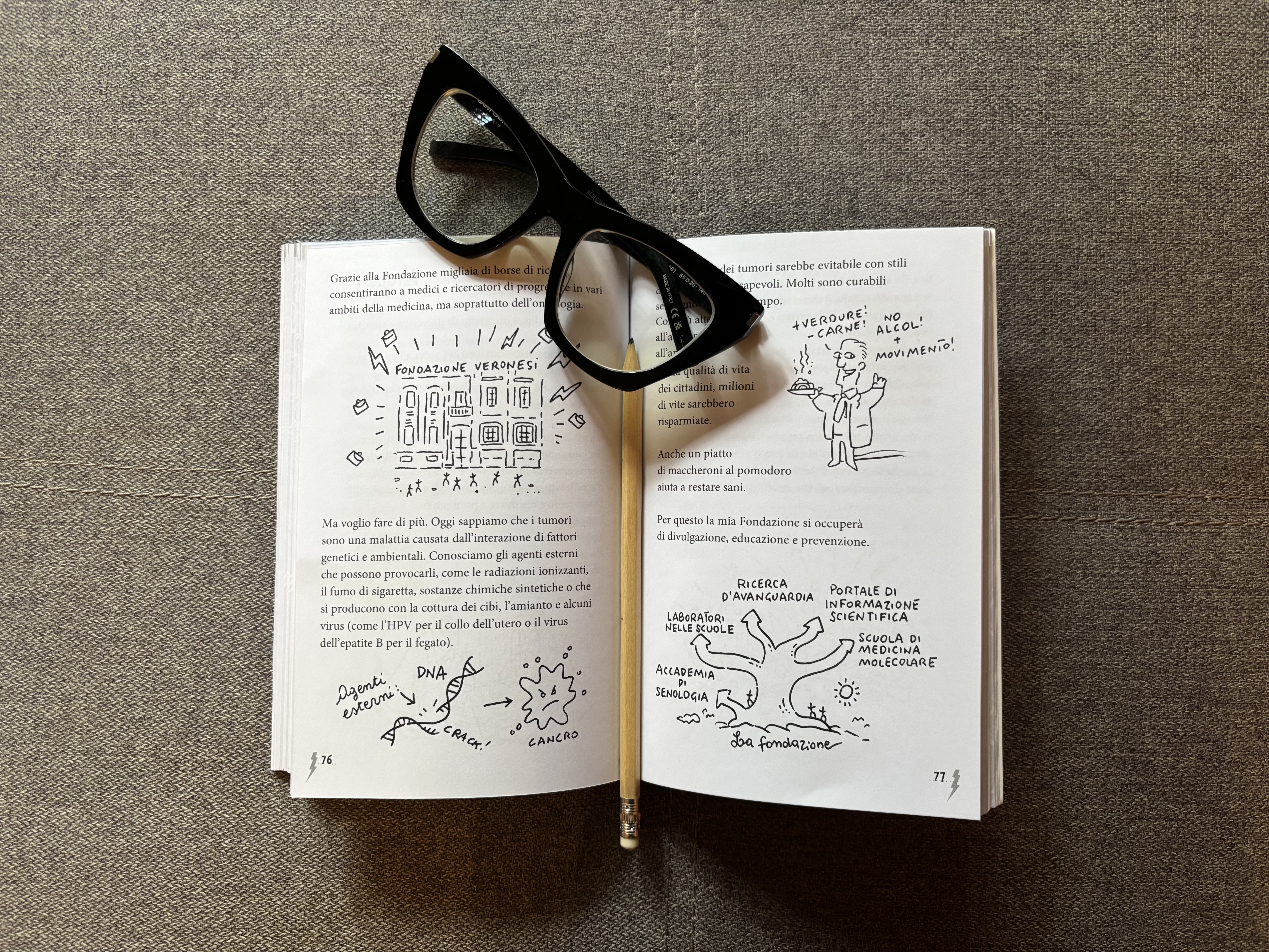 interno libro su Veronesi di Novelli