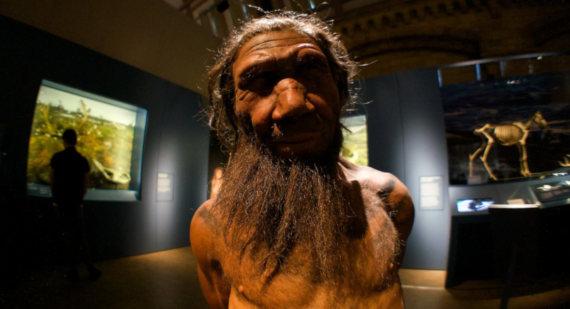 Neanderthal