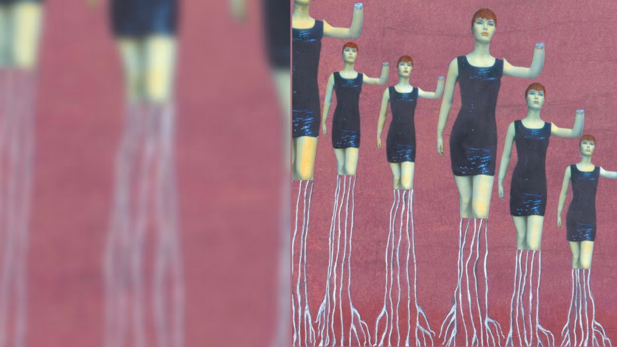 foto coopertina libro