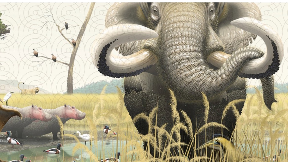 disegno elefante del pleistocene