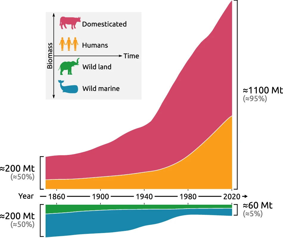 grafico biomassa globale mammiferi dal 1850