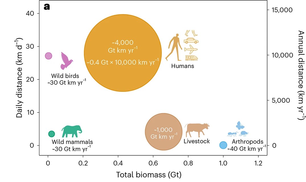 figura 2 - movimento biomassa totale animali terrestri e uccelli