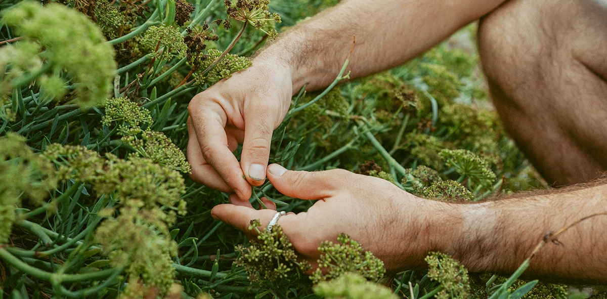 Foto: Chris Eyre-Walker