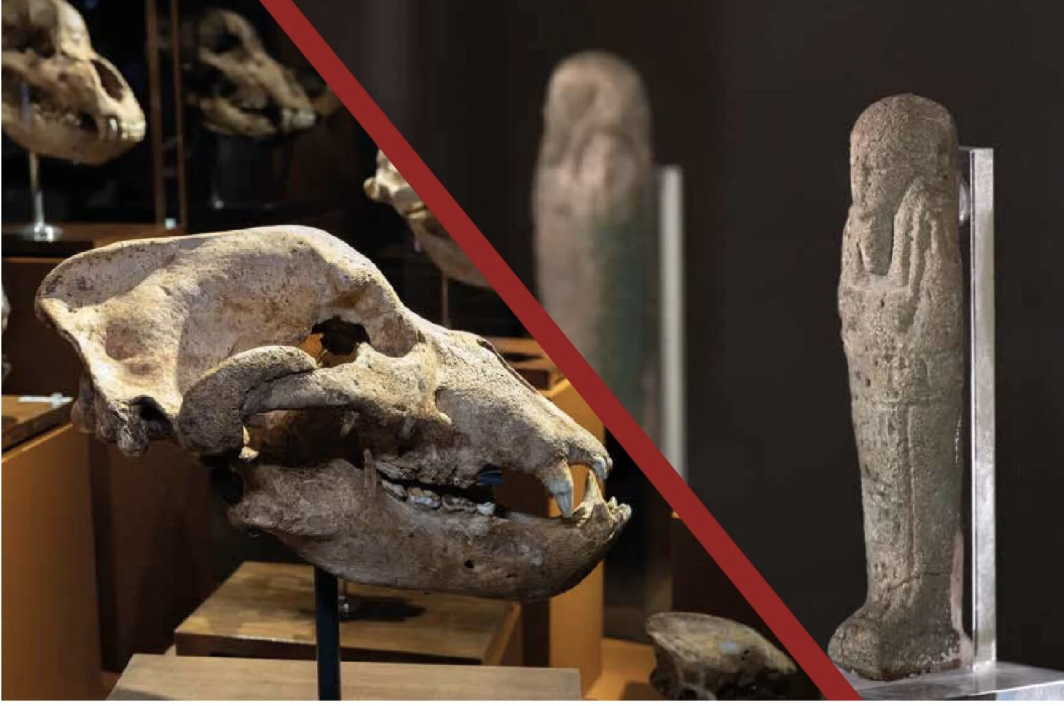 foto reperti museali