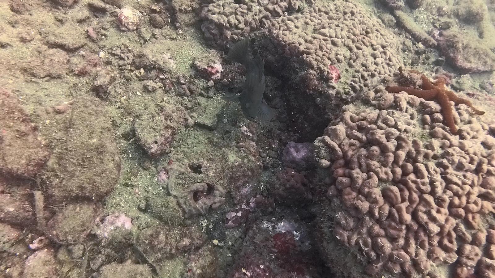 Patrimonio subacqueo