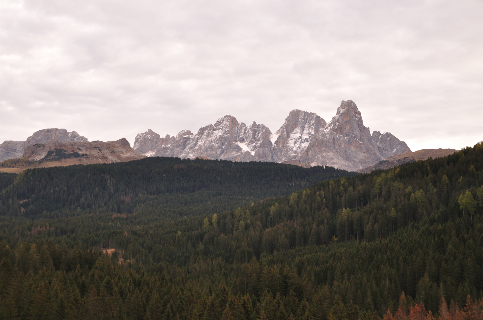 Foresta di Paneveggio. Archivio Parco Naturale Paneveggio Pale di San Martino