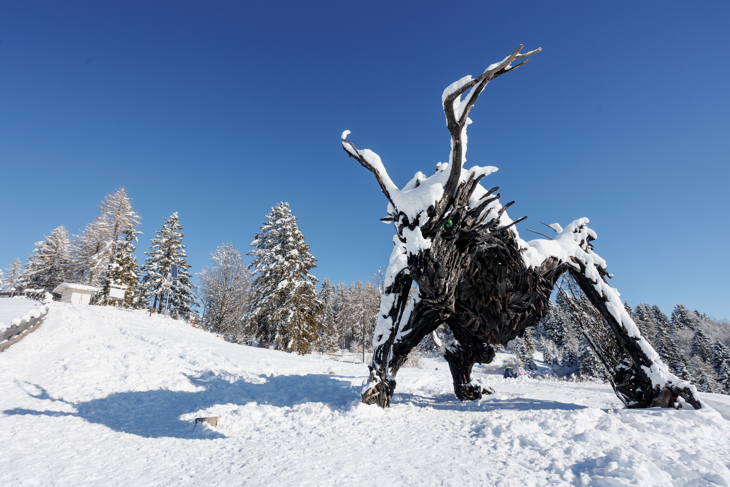 Drago Vaia Regeneration, il nuovo drago di Martalar, si trova a Magrè di Lavarone: nasce dalle ceneri del primo, misura 16 metri in lunghezza e 7 in altezza. Foto: Massimo Pistore
