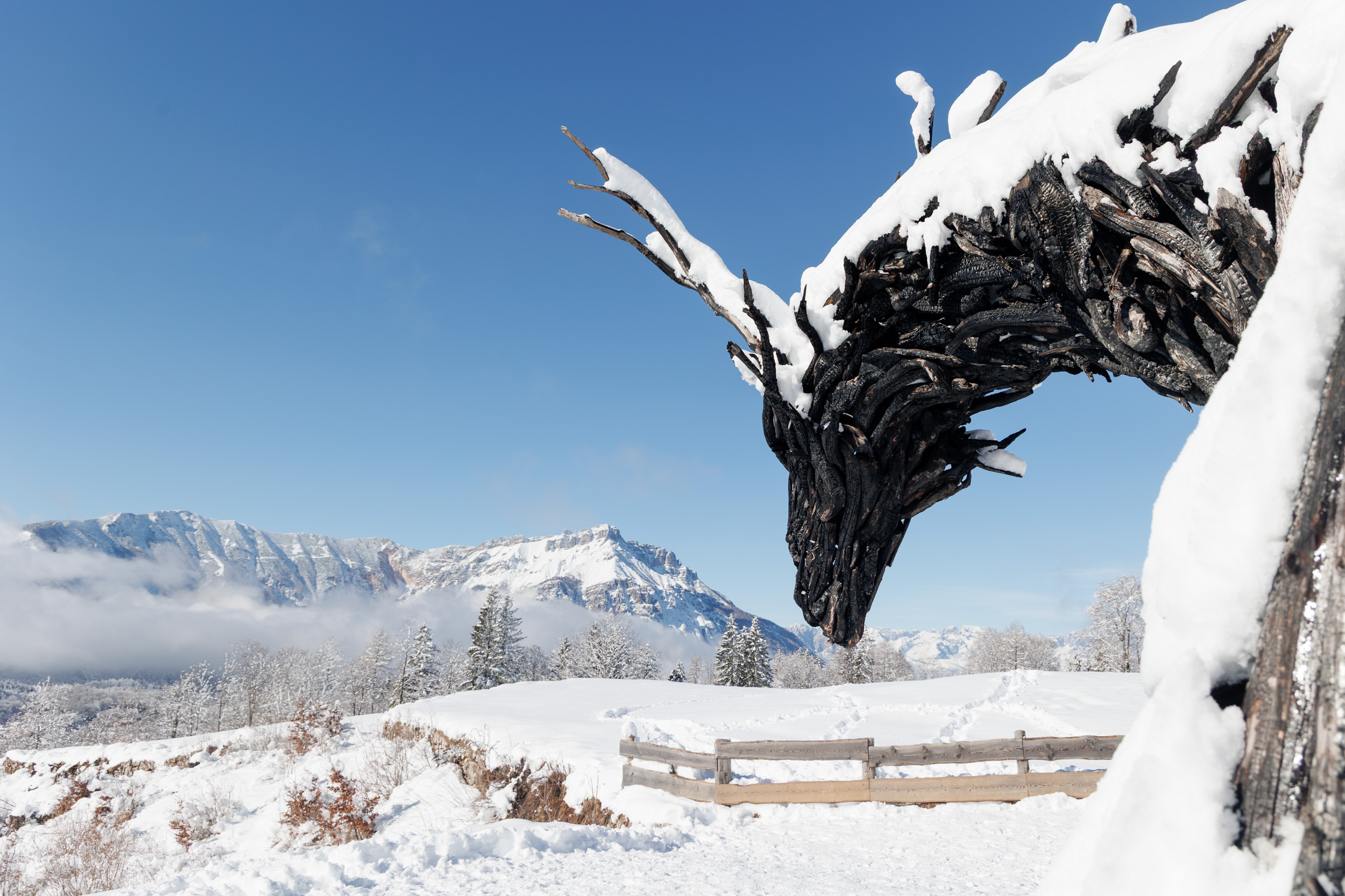 Drago Vaia Regeneration, il nuovo drago di Martalar, si trova a Magrè di Lavarone: nasce dalle ceneri del primo, misura 16 metri in lunghezza e 7 in altezza. Foto: Massimo PistoreDrago Vaia Regeneration, il nuovo drago di Martalar, si trova a Magrè di Lavarone: nasce dalle ceneri del primo, misura 16 metri in lunghezza e 7 in altezza. Foto: Massimo Pistore