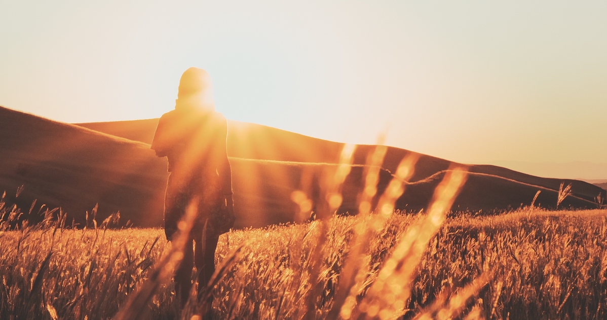 essere umano in campo al tramonto