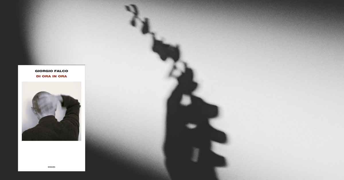 di ora in ora falco