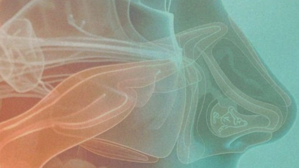 disegno sfumato naso