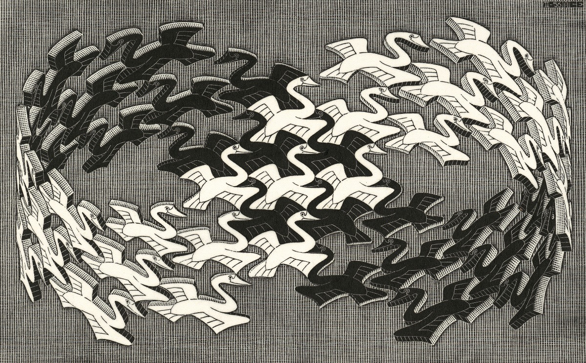 Escher cigni