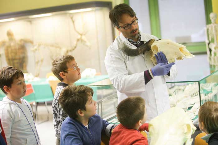 Museo di Medicina veterinaria Unipd