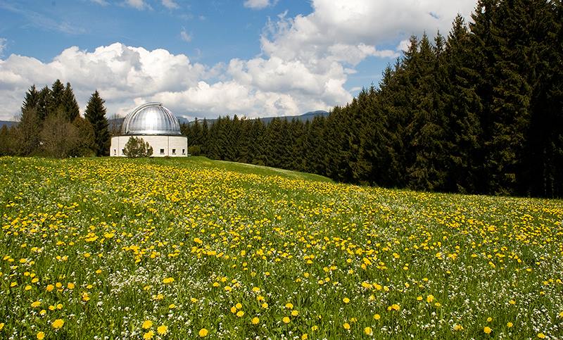 asiago