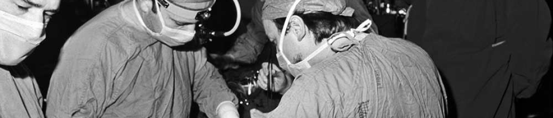 Vincenzo Gallucci e la sua equipe