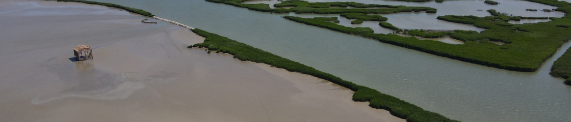 Delta del po