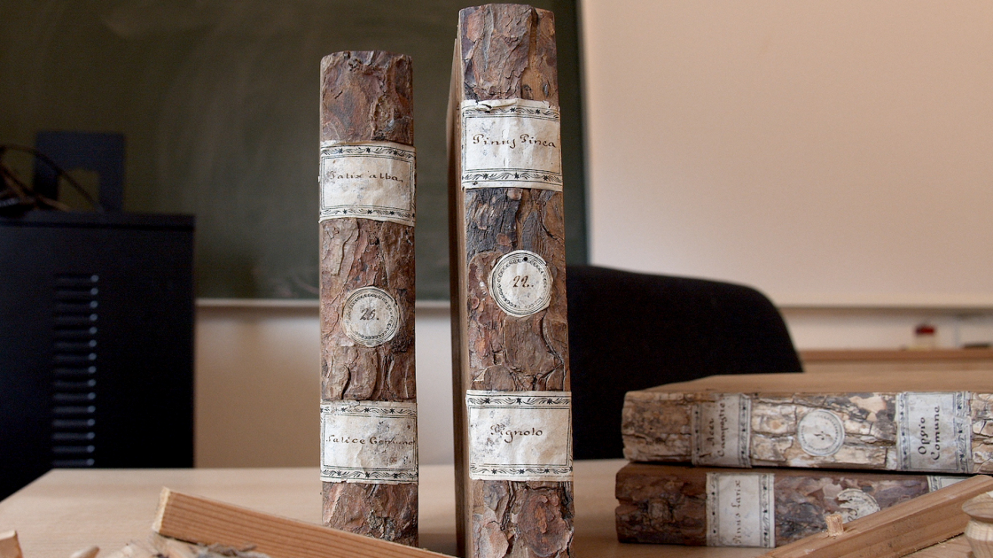 Museum pieces: xylotheque wooden book