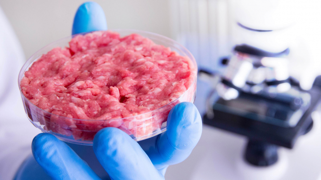 Dal Laboratorio Al Piatto: Come Si Produce E Perché La Carne Coltivata ...