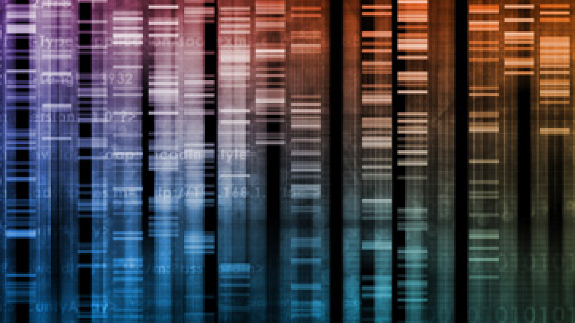 Pubblicata l'Enciclopedia delle Funzioni Genetiche: Oltre 20.000 Geni Analizzati