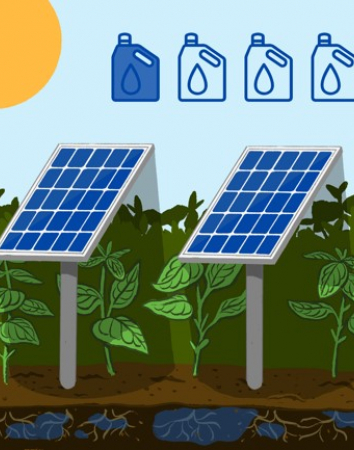 agrivoltaico 2