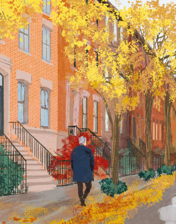 Auster luogo illustrazione Ziruffo