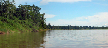 L'America Latina e la tutela degli attivisti dell'ambiente