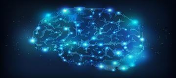 Decriptare il cervello umano: la sfida dello Human Brain Project