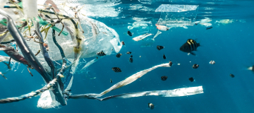 Un trattato vincolante per fermare l’inquinamento da plastica