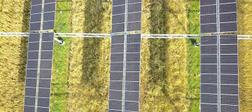 Agrivoltaico: luce rossa per l’agricoltura, blu per l’energia elettrica