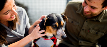 In Salute. Pet therapy: l’interazione con gli animali fa bene alla mente e al corpo