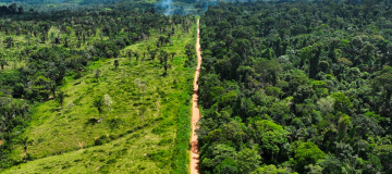 La foresta amazzonica di Lula respira, ma non è ancora fuori pericolo