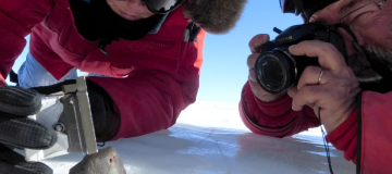 Il cambiamento climatico minaccia il ritrovamento di meteoriti in Antartide