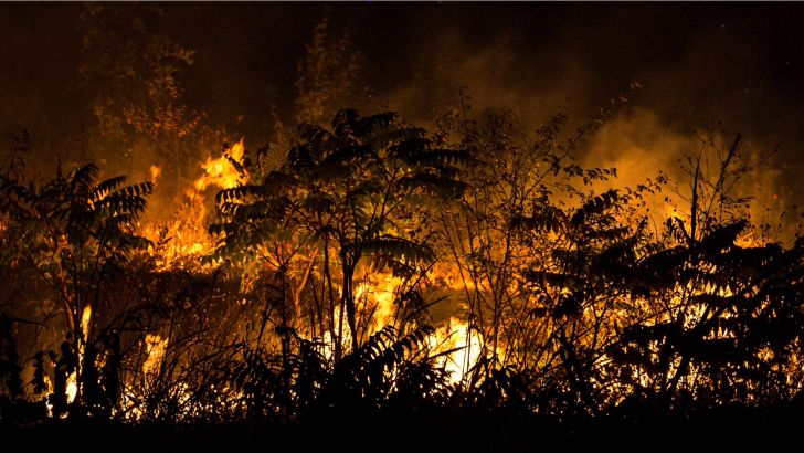 incendi_boschivi incendi_boschivi