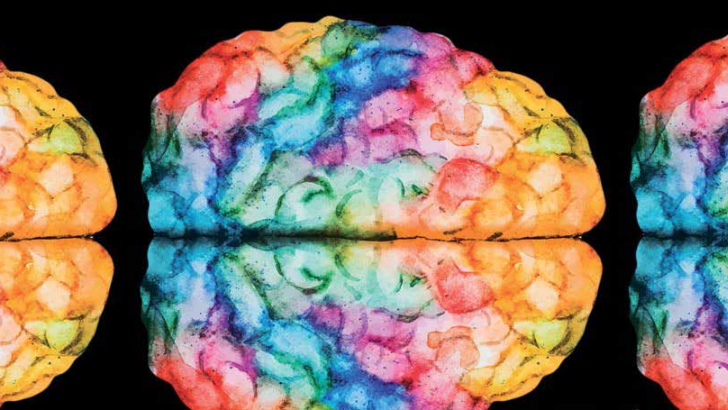 cervello colorato