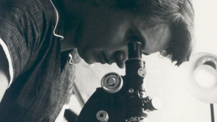 rosalind franklin