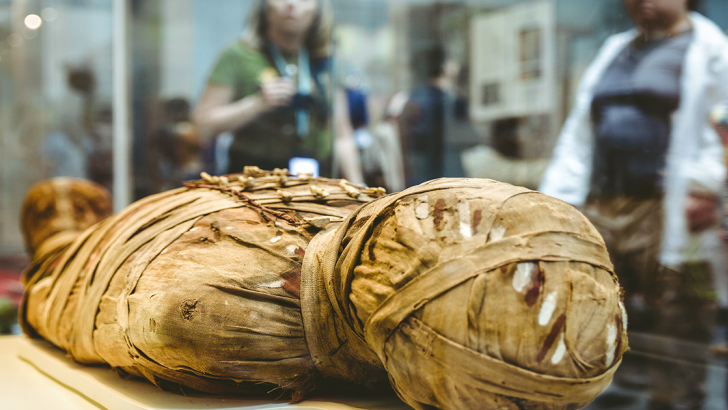 mummia in esposizione