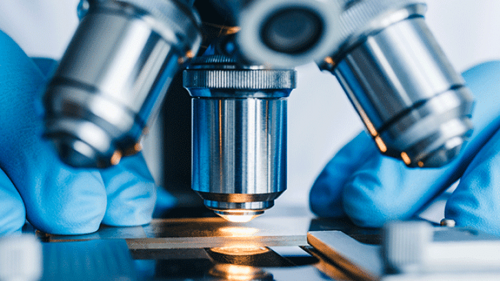 microscopio
